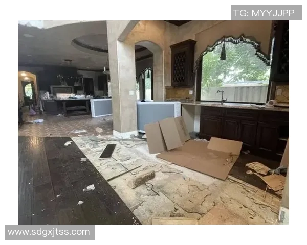 约内斯库洛杉矶住所遭窃多个手提包被盗损失超六万元