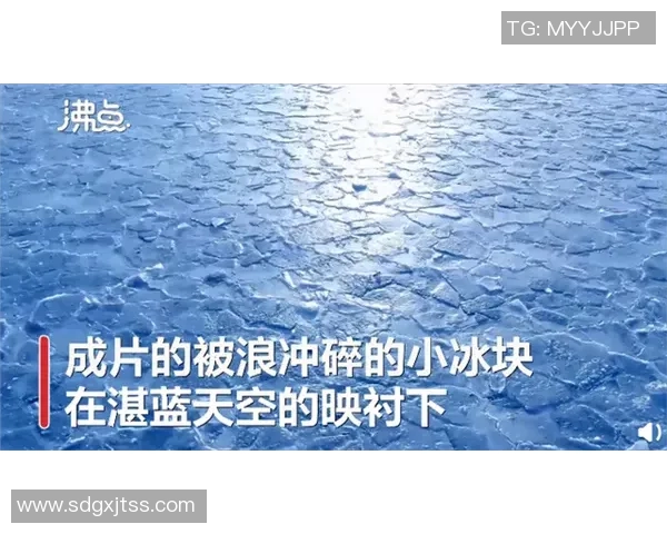 穆阿尼赛后感慨开局良好却未能保持优势对结果深感遗憾