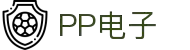 PP电子(中国)有限公司官网